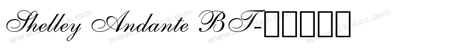 Shelley Andante BT字体转换